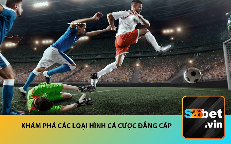 Khám phá các loại hình cá cược đẳng cấp